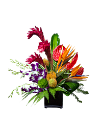 Tropical Ginger and Protea arrangement. Ginger with Protea and interesting foliage