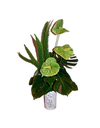 Tropical Flower arrangement Denver Colorado Green Anthurium