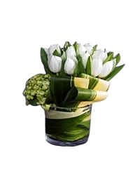 Tulips and Hydrangea