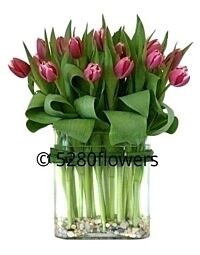 local tulips with river rock