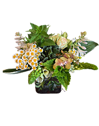White Garden Market Flower Arrangement | Seasonal Elegance