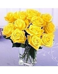 Yellow Roses Denver Same day Delivery