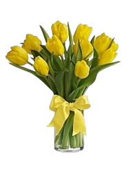 Yellow Tulips for Denver Delivery
