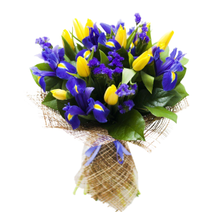 handtied yellow tulips and blue iris 