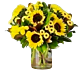 Sunflowers and Magnolia