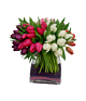 50 Tulip Arrangement