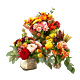 Fall market arrangement Denver same day delivery