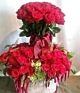 Roses Galore with 160 red roses.Please allow 24 hours