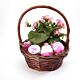 Colorado made  Berry Smoothie Bath set  with a plant