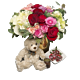Roses, Chocolate Covered Strawberries and a bear