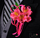 Alstro party Boutonniere