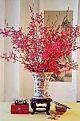 Orchid James Storii arrangement, 