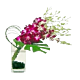Valentine Artsy Orchid Arrangement