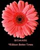 Denver Gerbera D peach