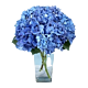 Denver Delivery Blue Hydrangea arrangement