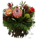 Botanic Protea arrangement