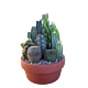 Cactus planter Denver Delivery