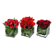 Christmas Red Trio