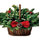 Colorado Christmas Greens Basket Fragrant !