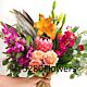 Hand tied Protea Bug bouquet