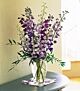 Delphinium arrangement