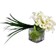 Denver Calla Lilly Arrangement