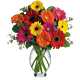 Denver Colorado Mixed Gerbera Arrangement