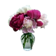 Denver Local Peony Arrangement