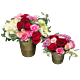 roses in gold
