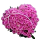 Valentine Rose Heart Denver Delivery
