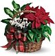 Christmas Decorated Plant Basket