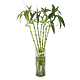 Denver Curly Bamboo Arrangement