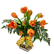 Denver Delivery Parrot Tulips