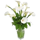 Denver Delivery White Calla lily arrangement