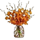 Mokara Orange
