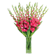 Denver Gladiolus arrangement