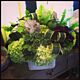 Green Market Botanic