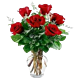 half dozen rose arrangement denver delivery