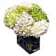 Denver Hydrangea arrangement