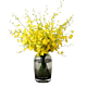 Denver Yellow Oncidium orchid arrangement