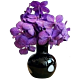 Denver Vanda Bloom Arrangement