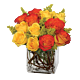 Mixed  orange and yellow roses