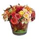 Denver Fall Roses