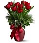 Christmas Tulips