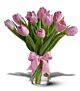 Tulip Special, market color