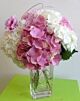 Hydrangea white and pink