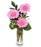 Gerbera Budvase