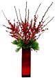 Denver Red Ilex berries