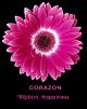Gerbera Pink Novelty