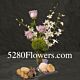 Denver Rose Budvase